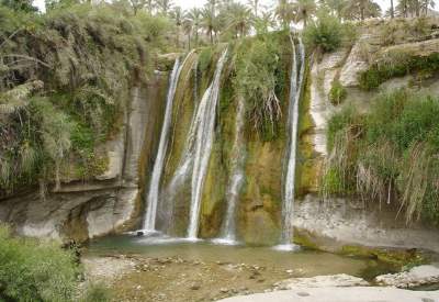 شهرستان دشتستان