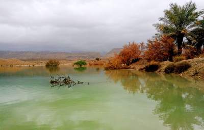 شهرستان دشتی