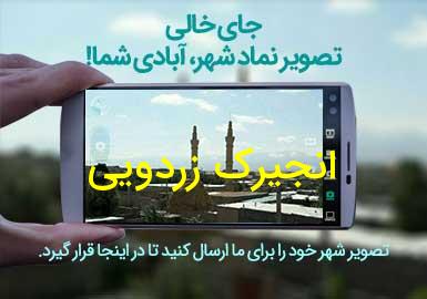 روستای انجیرک زردویی