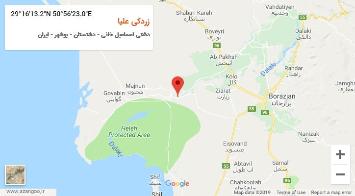 روستای زردکی علیا بر روی نقشه