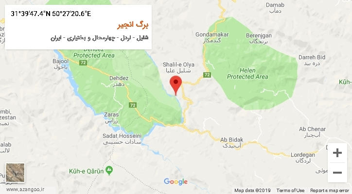 روستای برگ انجیر بر روی نقشه