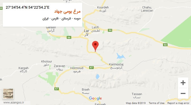 روستای مرغ بومی جهاد بر روی نقشه