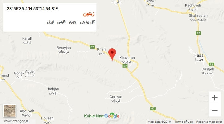 روستای زیتون بر روی نقشه