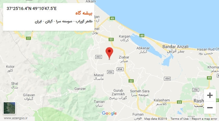 روستای بیشه گاه بر روی نقشه