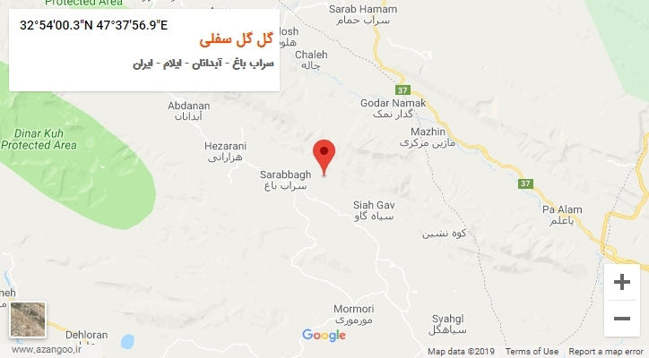 روستای گل گل سفلی بر روی نقشه