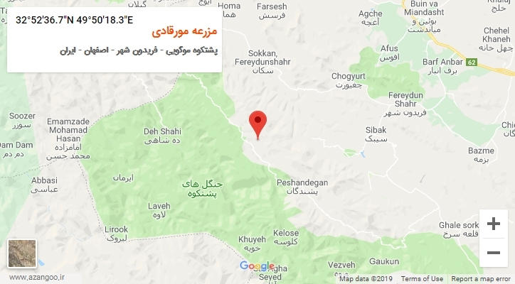روستای مزرعه مورقادی بر روی نقشه