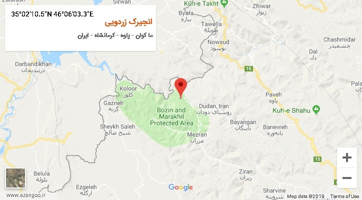 روستای انجیرک زردویی بر روی نقشه