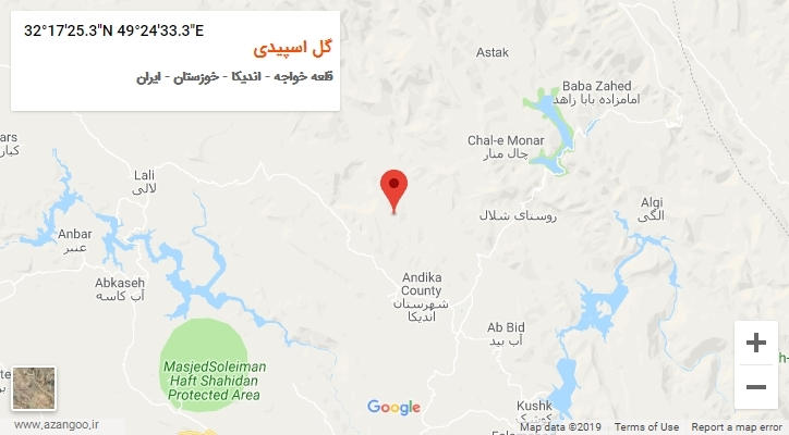 روستای گل اسپیدی بر روی نقشه