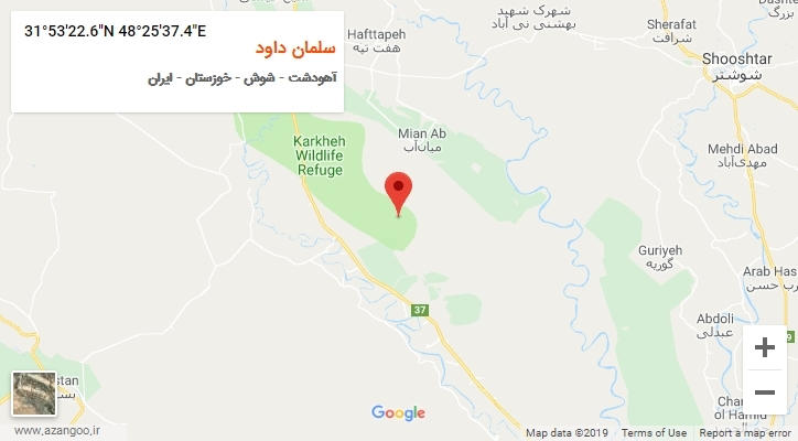 روستای سلمان داود بر روی نقشه