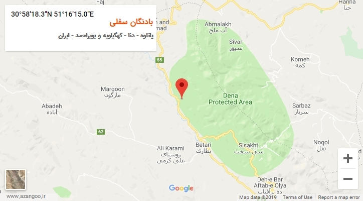 روستای بادنگان سفلی بر روی نقشه