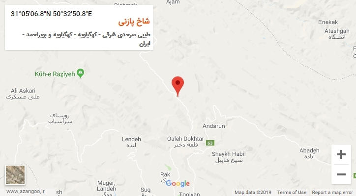 روستای شاخ پازنی بر روی نقشه