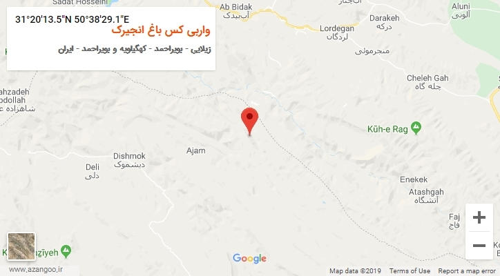 روستای واربی کس باغ انجیرک بر روی نقشه