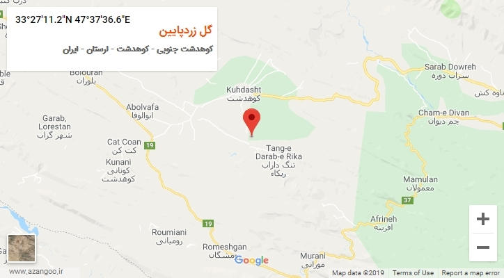 روستای گل زردپایین بر روی نقشه
