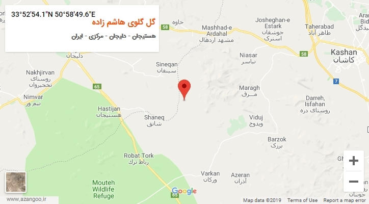 روستای گل گلوی هاشم زاده بر روی نقشه