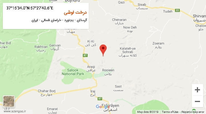 روستای درخت لوشی بر روی نقشه