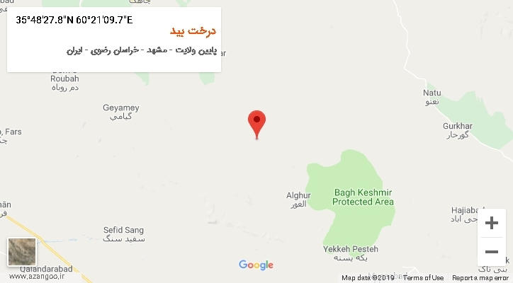 روستای درخت بید بر روی نقشه