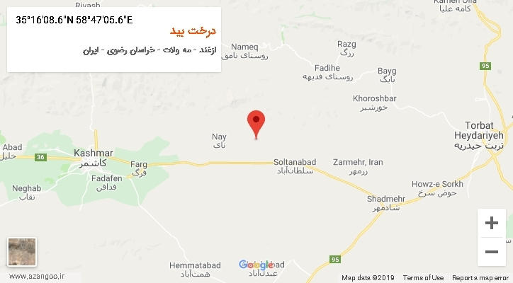 روستای درخت بید بر روی نقشه