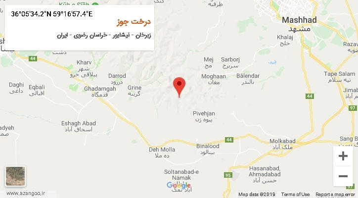 روستای درخت جوز بر روی نقشه