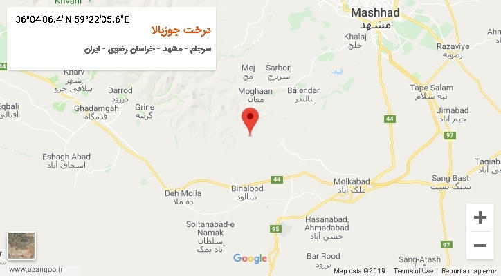 روستای درخت جوزبالا بر روی نقشه