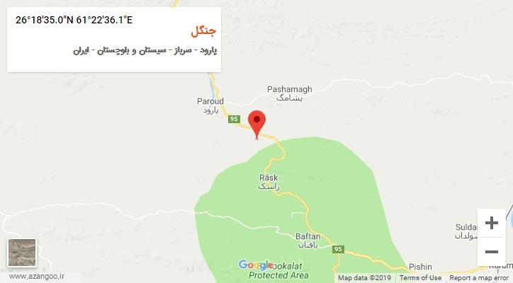 روستای جنگل بر روی نقشه
