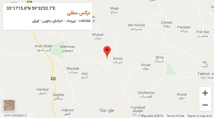 روستای نرگس سفلی بر روی نقشه